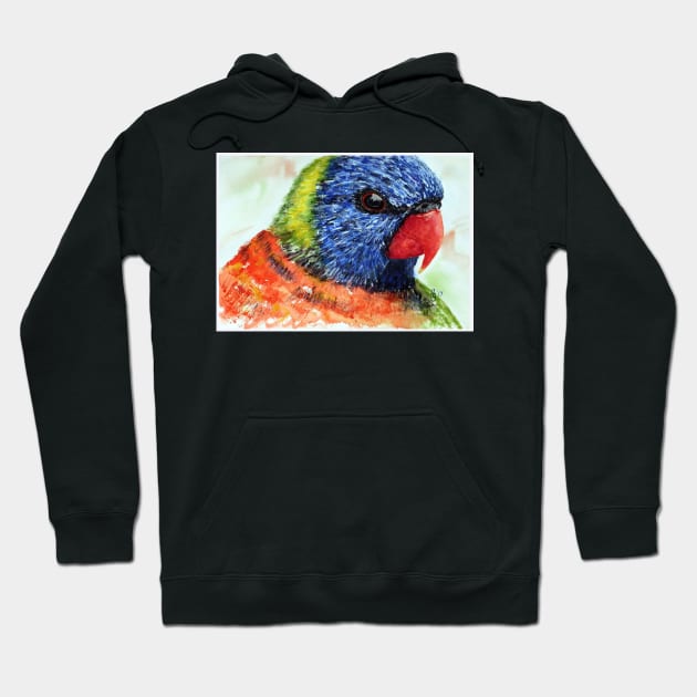 Rainbow Lorikeet Hoodie by pops